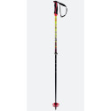 Ski poles