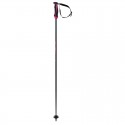 Volkl Unisex PHANTASTICK Ski Poles