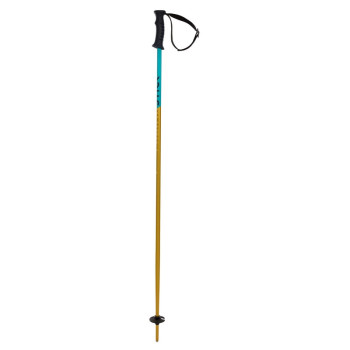 Volkl Junior's PHANTASTICK KIDS Ski Poles