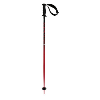 Volkl Junior`s PHANTASTICK Ski Poles