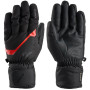 Zanier Unisex RAURIS.GTX Ski Gloves