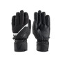 Zanier Unisex RAURIS.GTX Ski Gloves