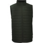 True North Men`s Vest
